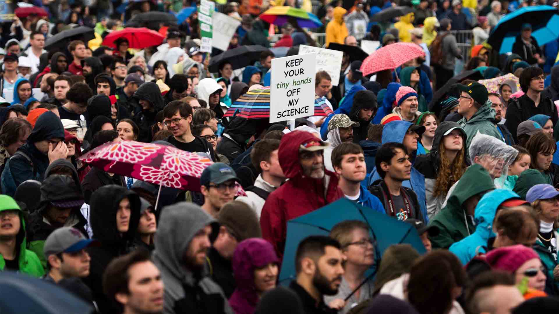people-impact-on-politics